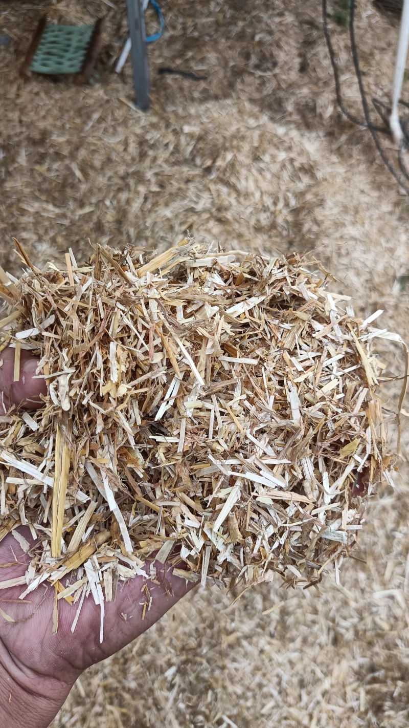 优质揉丝斩段小麦秸秆