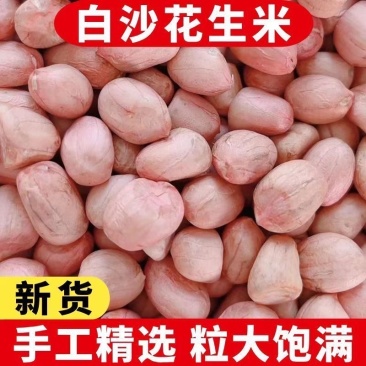 花生白沙花生7、8、9个筛规格齐全颗粒饱满厂家直销