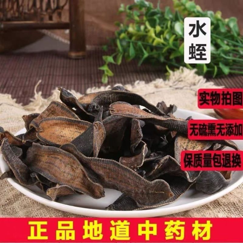 水蛭清水水蛭正品***道地中药材合作共赢诚信经营