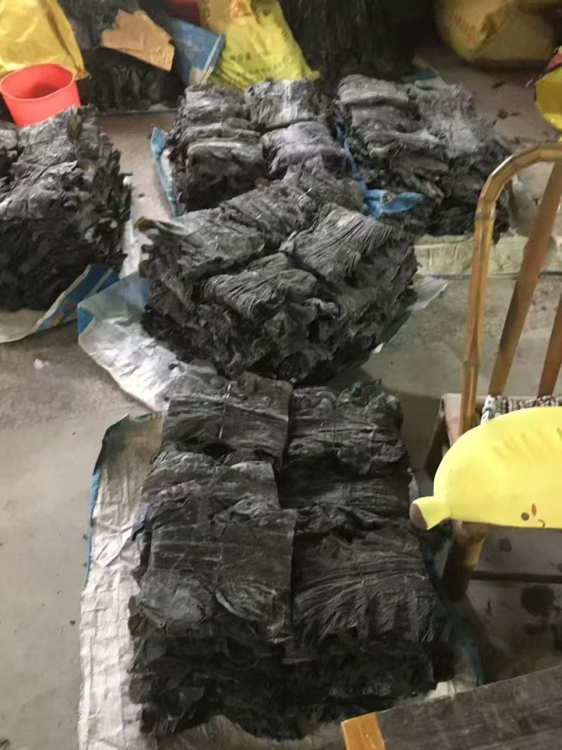 出口级板菜去头去尾90公分，宽度25到30公分无任何瑕疵