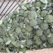 西兰花产地一手货源。量大优惠，对接全国市场电商平台