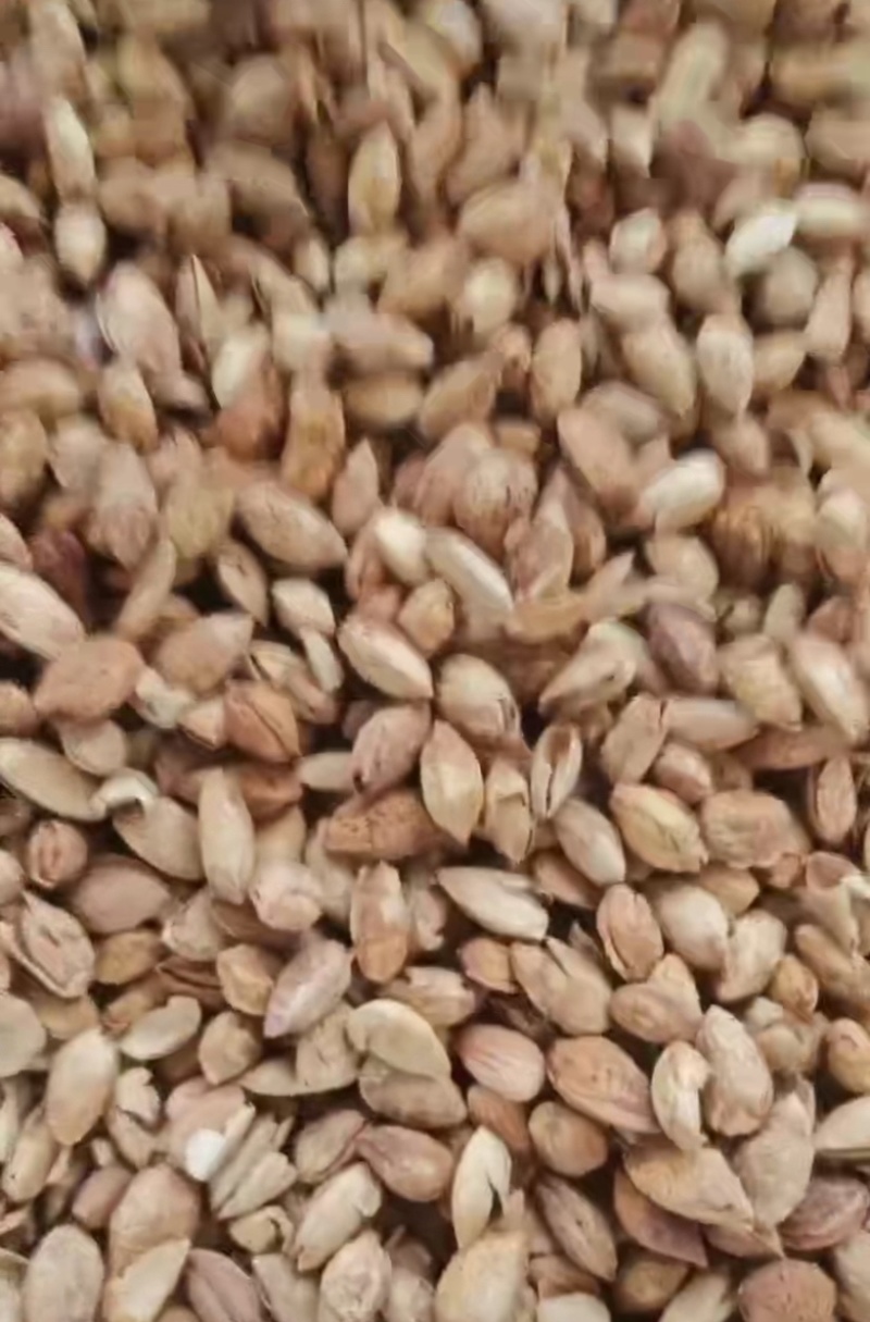 巴旦木薄壳坚果源头工厂源头工厂直销纸皮巴旦木np