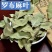 罗布麻中药材道地中药材***诚信经营中药材合作共赢