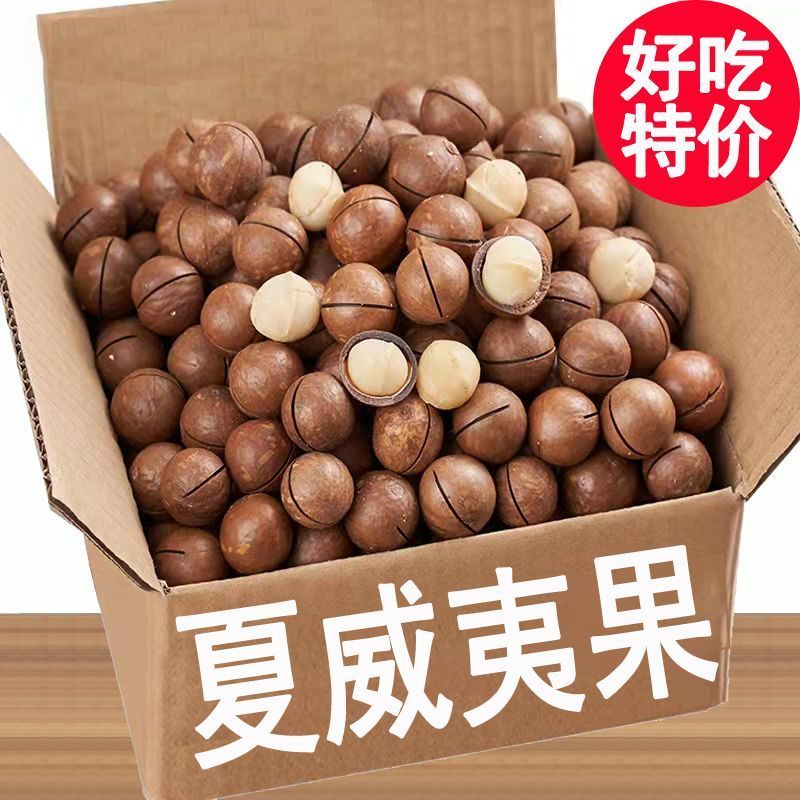 夏威夷果新货送开果器个大薄皮烘焙大果商用电商一件代发