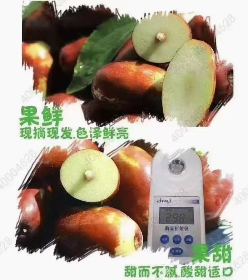灵武长枣基地一手货源品质保障对接全国各大电商平台量大