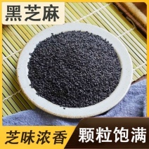 黑芝麻生熟都有颗粒饱满香浓味美厂家直销量大从优