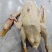 【东北散养手工鹅条】白条鹅鹅肉基地直发全国发货