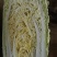 大白菜