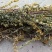 一枝黄花中草药新鲜干货道地中药材合作共赢诚信经营