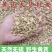 黄芪真品甘肃黄芪正宗清仓包邮无硫新鲜黄芪中药煲汤滋补品