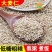 麦仁小麦仁大麦仁规格齐全量大从优厂家直销