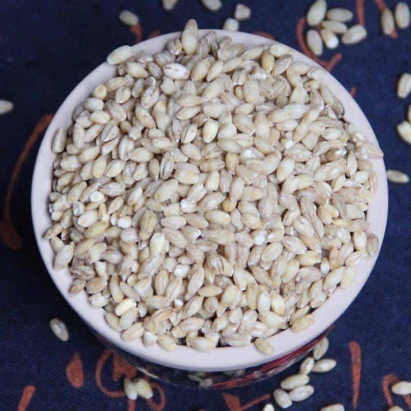 麦仁小麦仁大麦仁规格齐全量大从优厂家直销