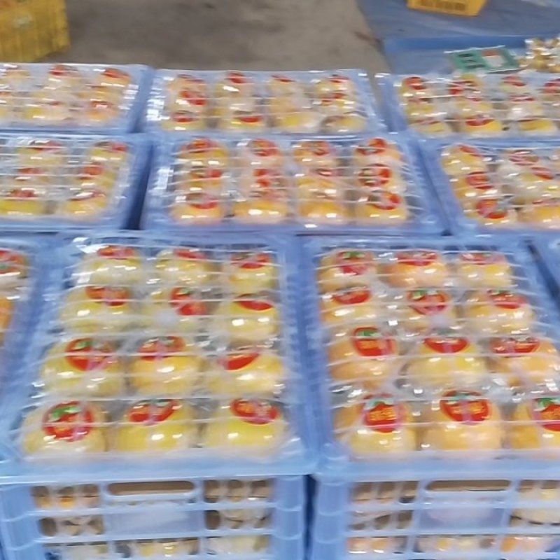 脆柿