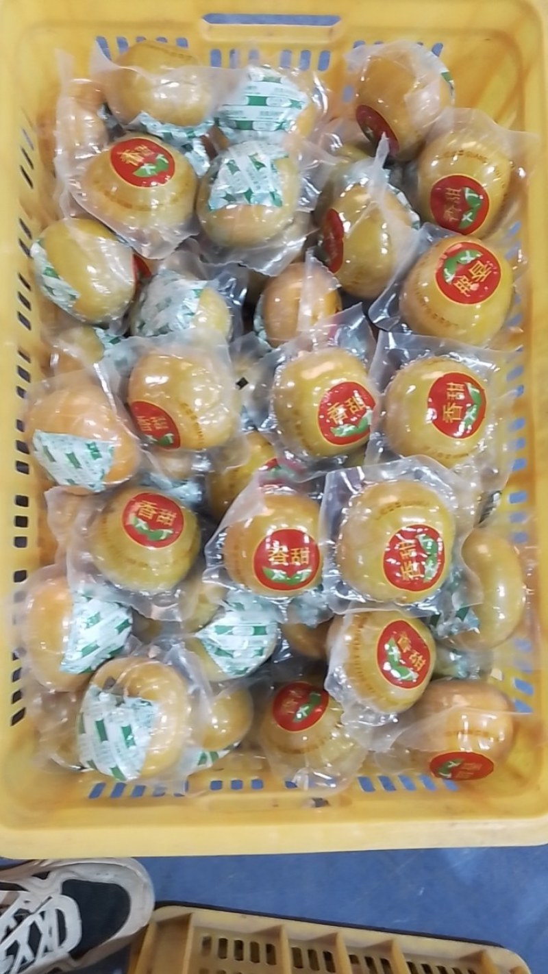 脆柿
