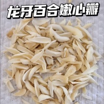 龙牙百合湖南特产正宗隆回龙牙百合干无硫特级嫩心芽食用百合