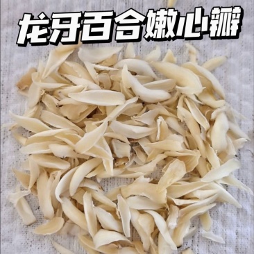 龙牙百合湖南特产正宗隆回龙牙百合干无硫特级嫩心芽食用百合