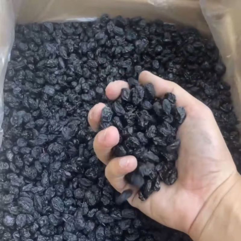 新疆特产黑加仑免洗颗粒无籽无核吐鲁番提子干果批