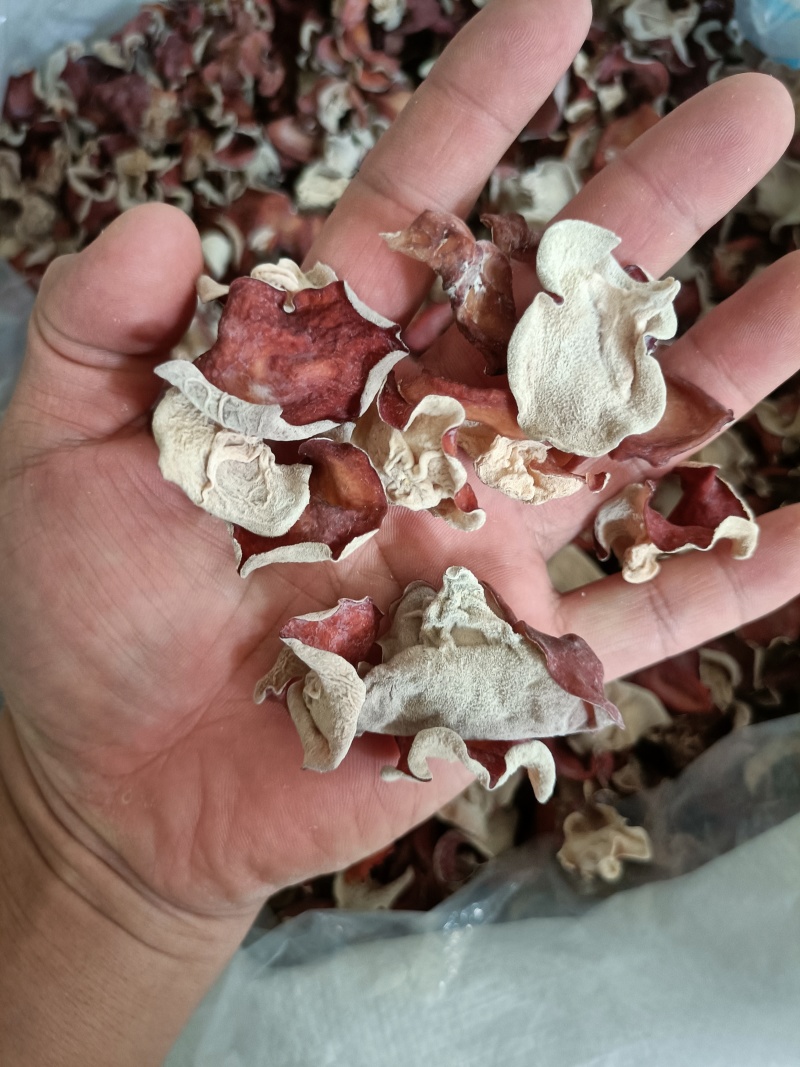 自产自销贵妃木耳，粉木耳，大量现货供应，粉木耳贵妃粉耳干