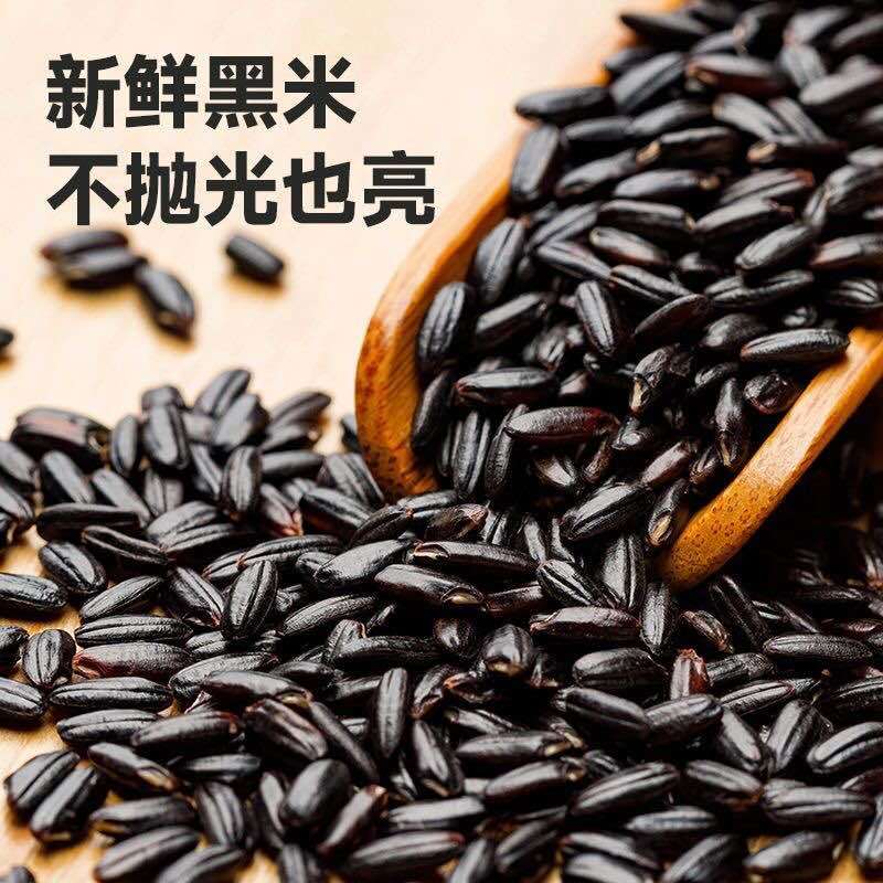 黑米大红袍黑珍珠黑米颗粒饱满厂家直销量大从优