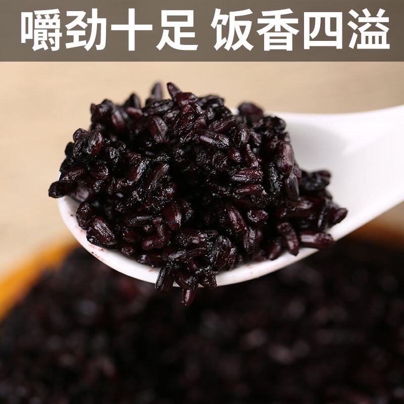 黑米大红袍黑珍珠黑米颗粒饱满厂家直销量大从优