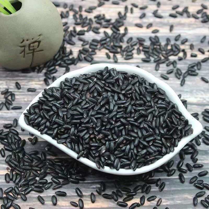 黑米大红袍黑珍珠黑米颗粒饱满厂家直销量大从优