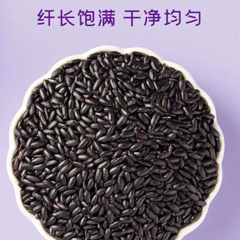 黑米大红袍黑珍珠黑米颗粒饱满厂家直销量大从优