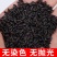 黑米大红袍黑珍珠黑米颗粒饱满厂家直销量大从优