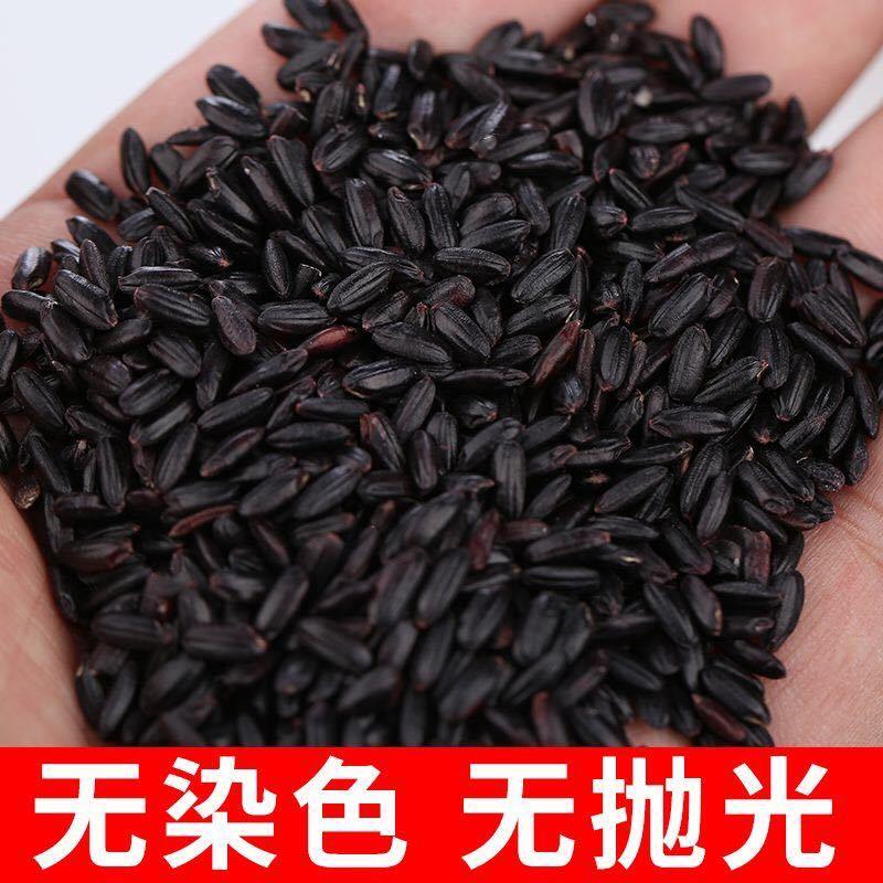 黑米大红袍黑珍珠黑米颗粒饱满厂家直销量大从优
