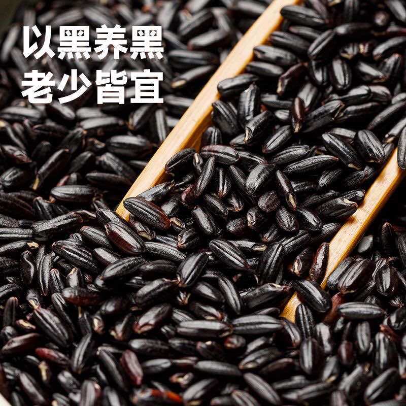 黑米大红袍黑珍珠黑米颗粒饱满厂家直销量大从优