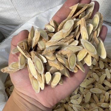 甘肃岷县黄芪煲汤泡水传统滋补养生食材欢迎来电