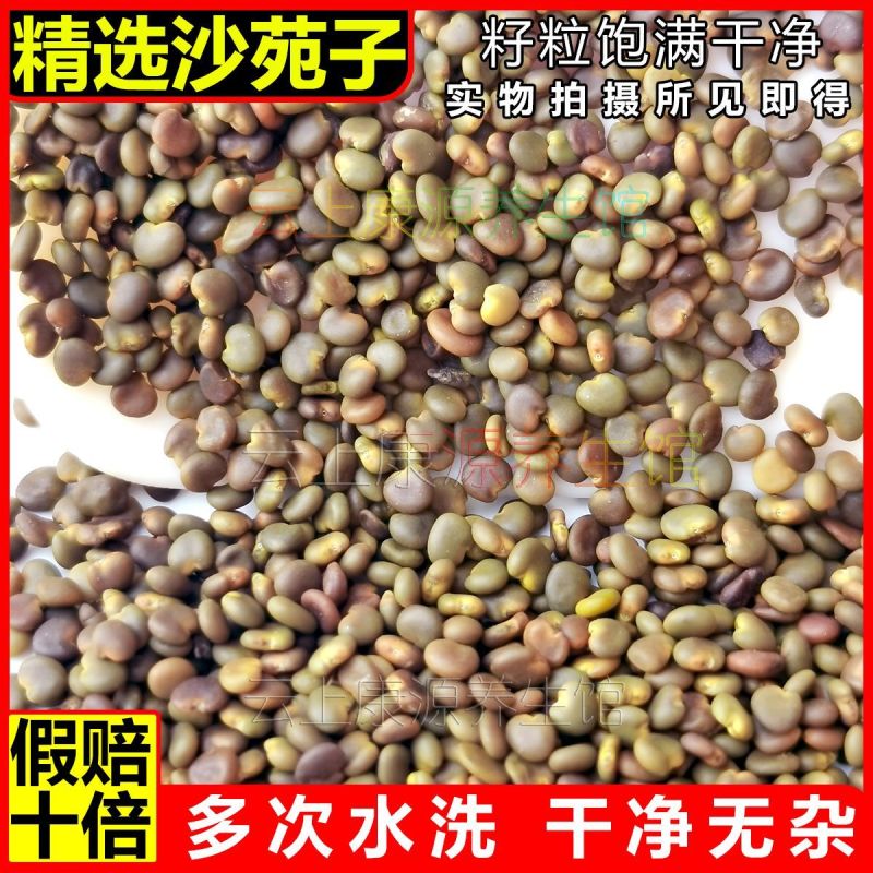 【假一赔四】真品正宗优质沙苑子官方正品特级沙苑子