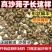 【假一赔四】真品正宗优质沙苑子官方正品特级沙苑子