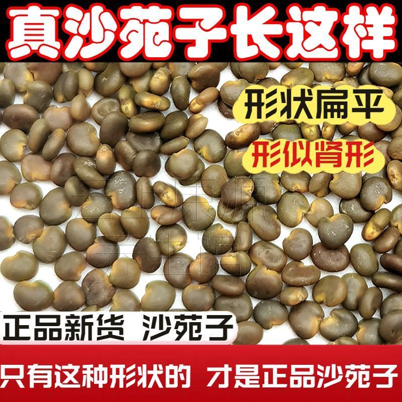 【假一赔四】真品正宗优质沙苑子官方正品特级沙苑子