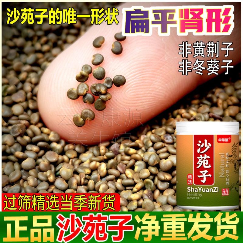 【假一赔四】真品正宗优质沙苑子官方正品特级沙苑子