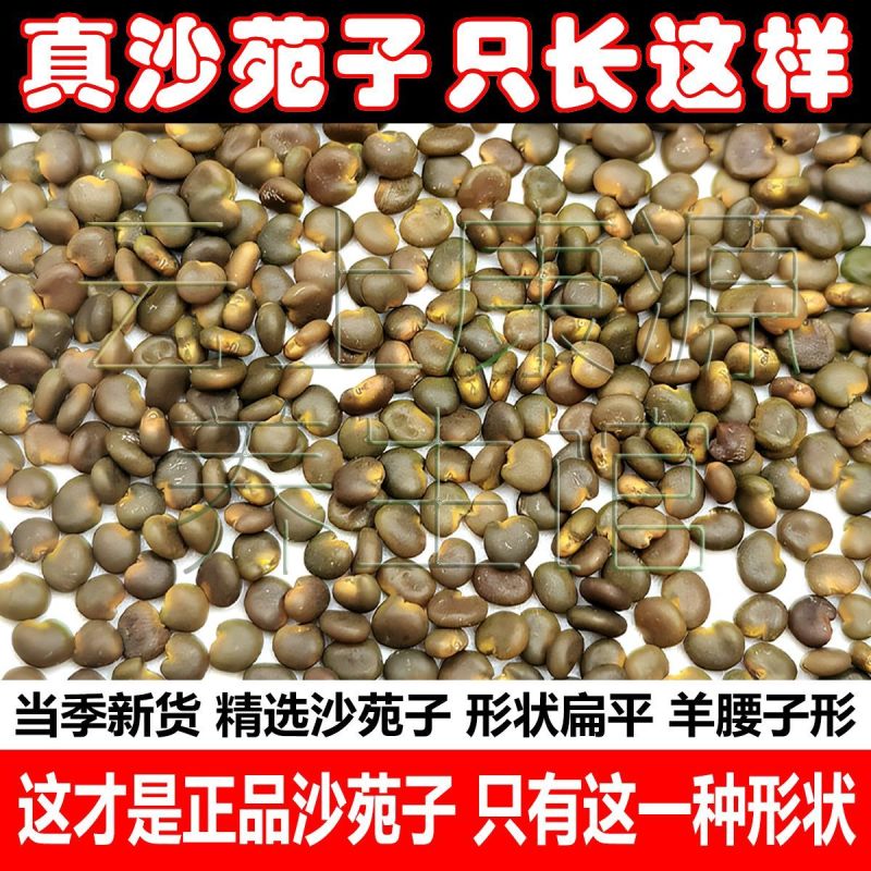 【假一赔四】真品正宗优质沙苑子官方正品特级沙苑子