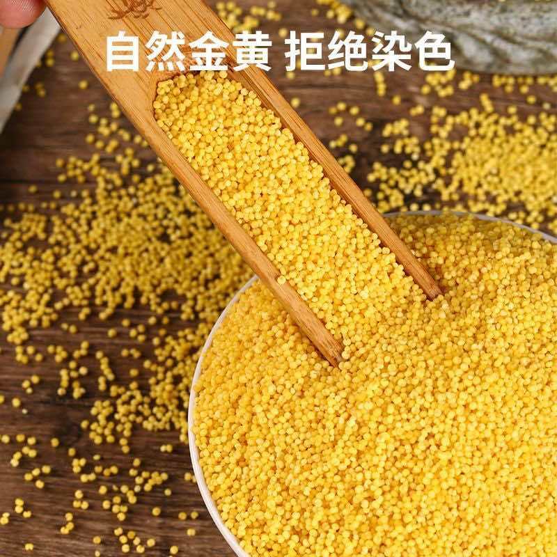 黄小米赤峰k1黄金苗厂家直销规格齐全量大质优