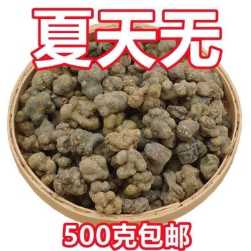 夏天无中药材一粒金丹正品飞来牡丹伏地延胡索落水
