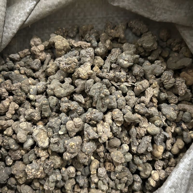 夏天无中药材一粒金丹正品飞来牡丹伏地延胡索落水