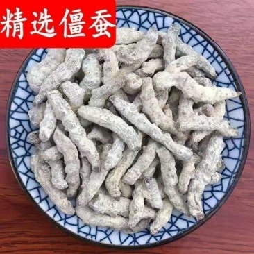 僵蚕中药材量大无硫产地直销诚信经营中药材合作共赢