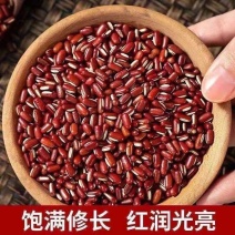 赤小豆（巴西缅甸泰国）颗粒饱满规格齐全