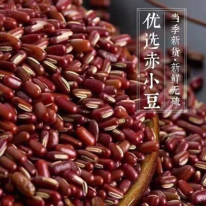 赤小豆（巴西缅甸泰国）颗粒饱满规格齐全