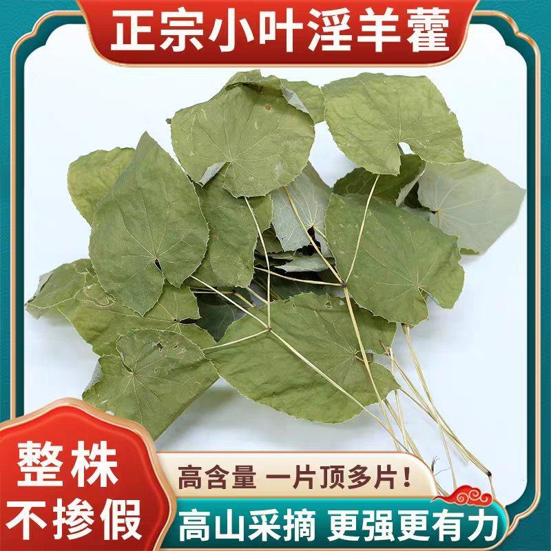 【假一赔十】甘肃野生小叶淫羊藿中药材正品整棵三支九叶草
