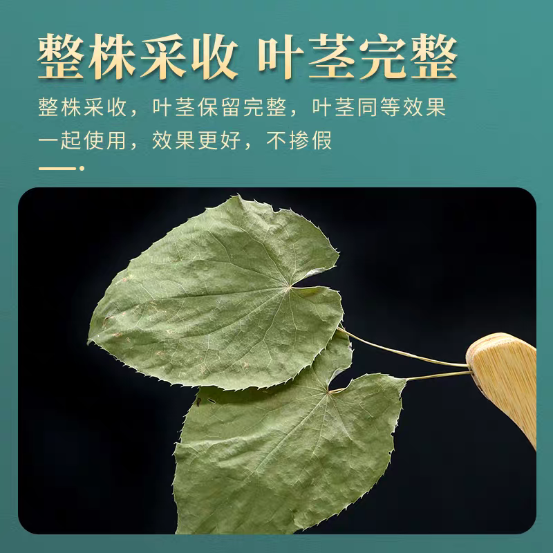 【假一赔十】甘肃野生小叶淫羊藿中药材正品整棵三支九叶草