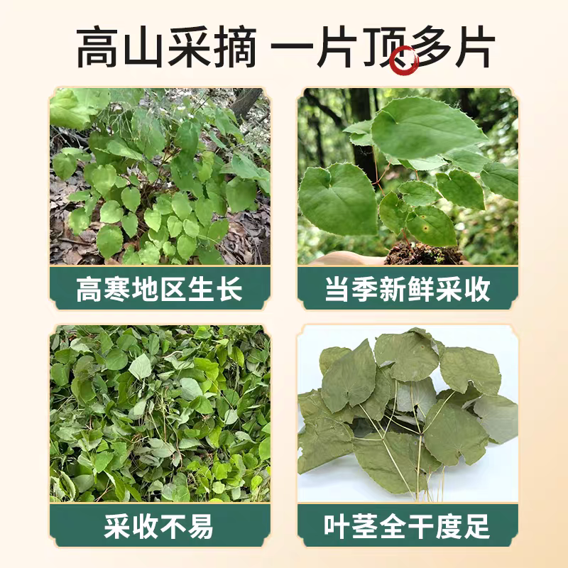 【假一赔十】甘肃野生小叶淫羊藿中药材正品整棵三支九叶草