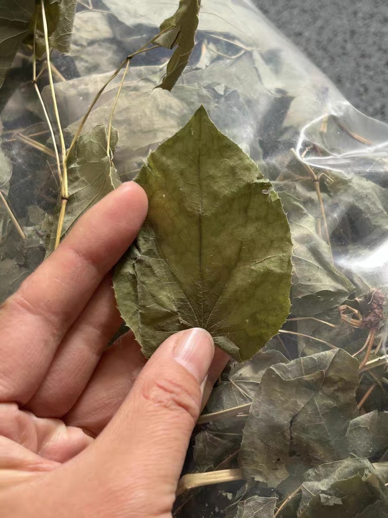 【假一赔十】甘肃野生小叶淫羊藿中药材正品整棵三支九叶草
