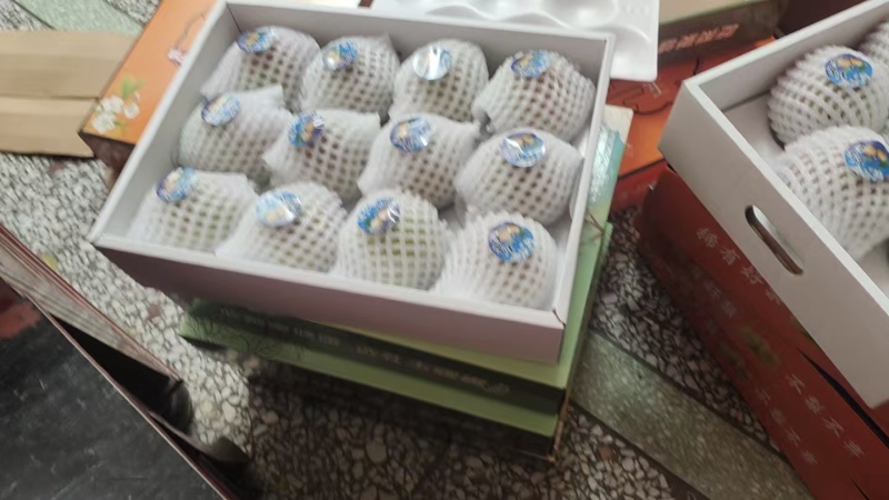 酥梨/玉露香梨/陕西渭南蒲城县酥梨种植基地直供