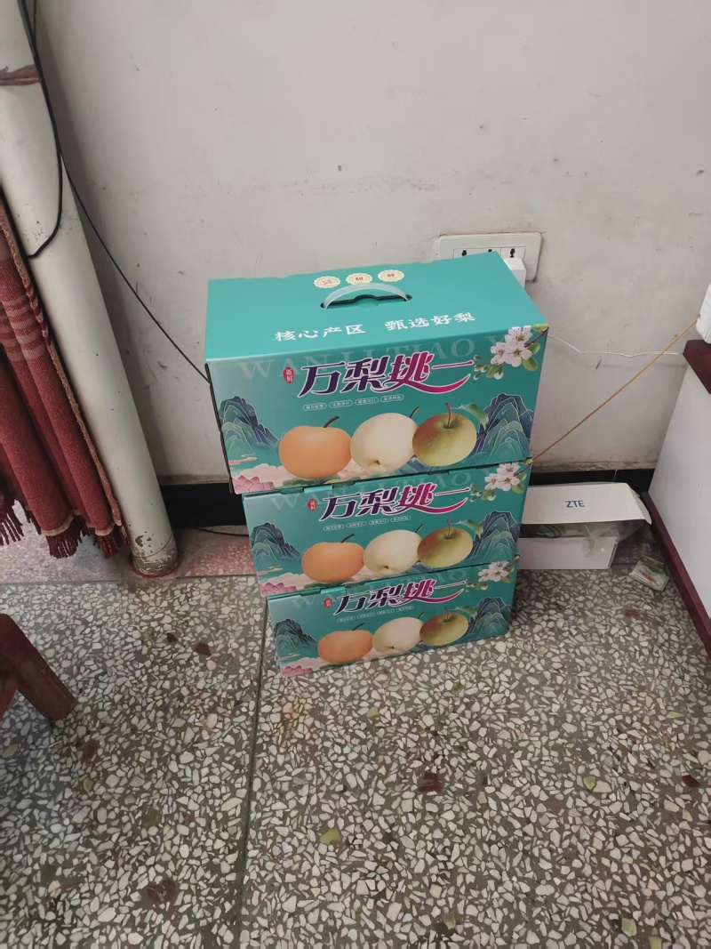 酥梨/玉露香梨/陕西渭南蒲城县酥梨种植基地直供