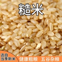 糙米颗粒饱满当季新货厂家直销常年有货