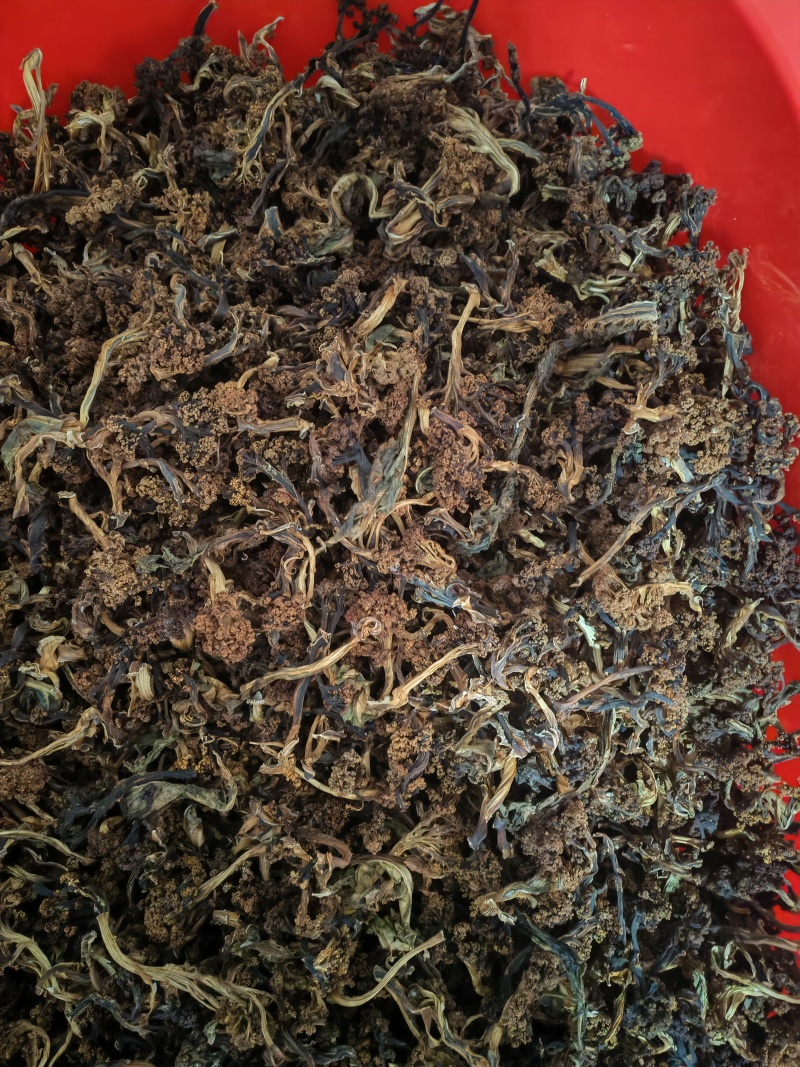 干花菜
