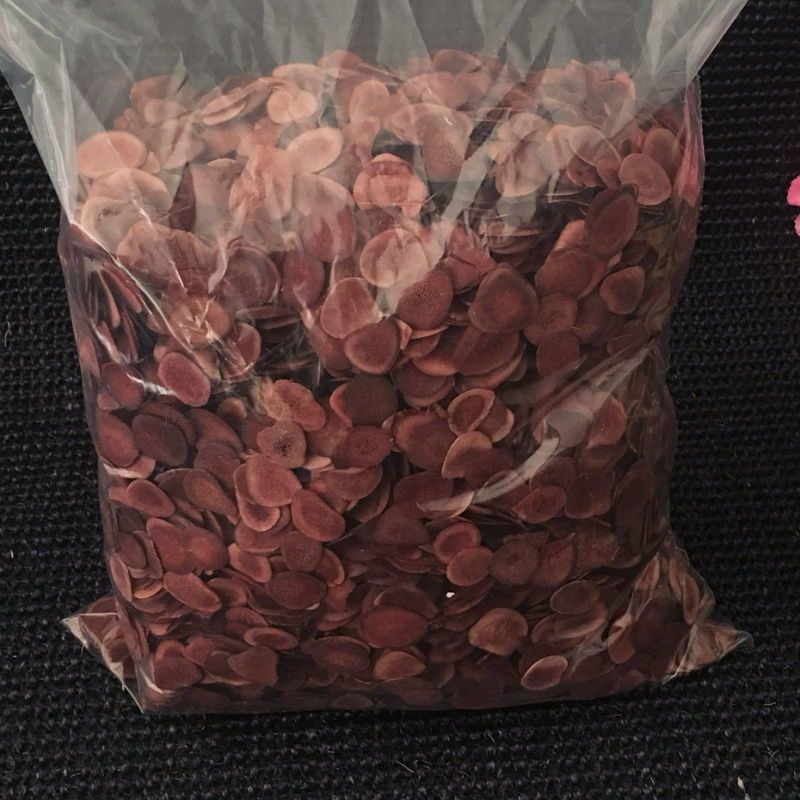 鹿茸批发鹿乡鹿产品批发鹿茸血片包邮一件代发